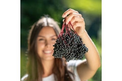 Image A woman holding a bunch of elderberries.